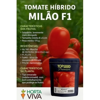 Semente Tomate Saladette Híbrido Milão F1 - 1.000 Sementes